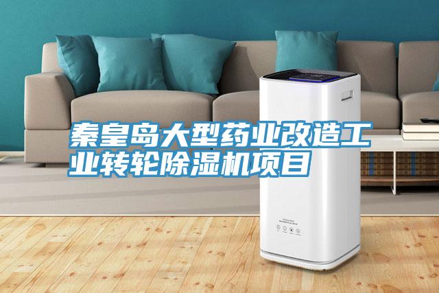 秦皇島大型藥業(yè)改造工業(yè)轉(zhuǎn)輪除濕機(jī)項目