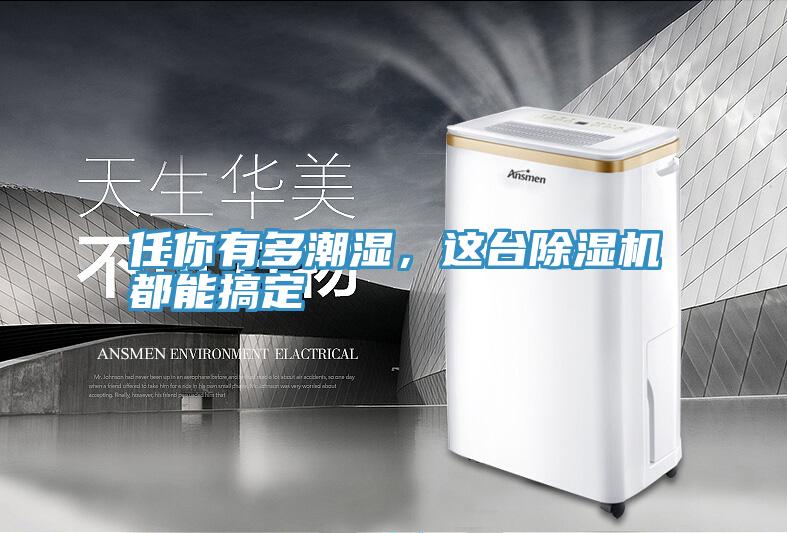 任你有多潮濕，這臺(tái)除濕機(jī)都能搞定