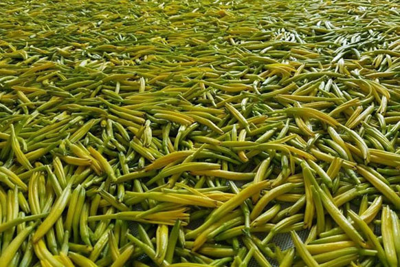 無硫金針菜烘干如何保持品相？不發(fā)黑？
