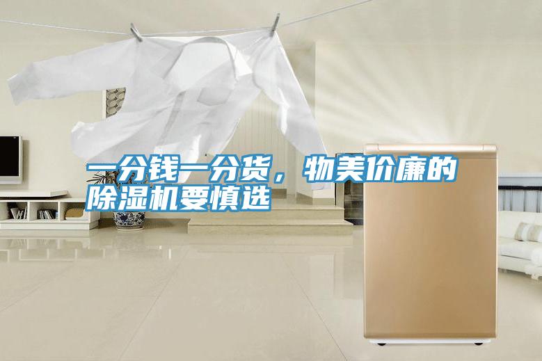 一分錢一分貨，物美價(jià)廉的除濕機(jī)要慎選