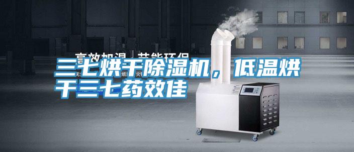 三七烘干除濕機，低溫烘干三七藥效佳