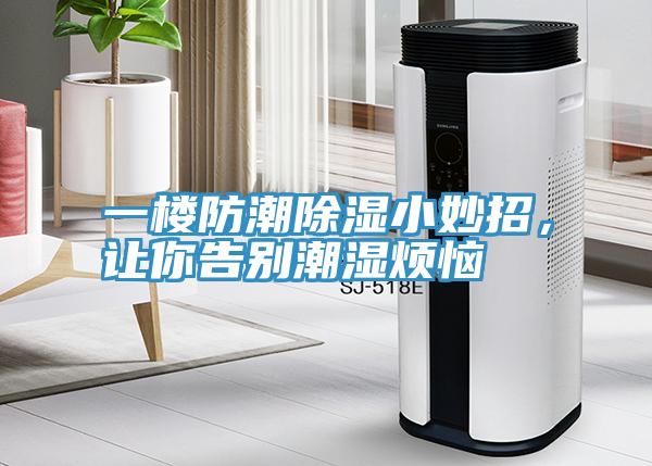 一樓防潮除濕小妙招，讓你告別潮濕煩惱