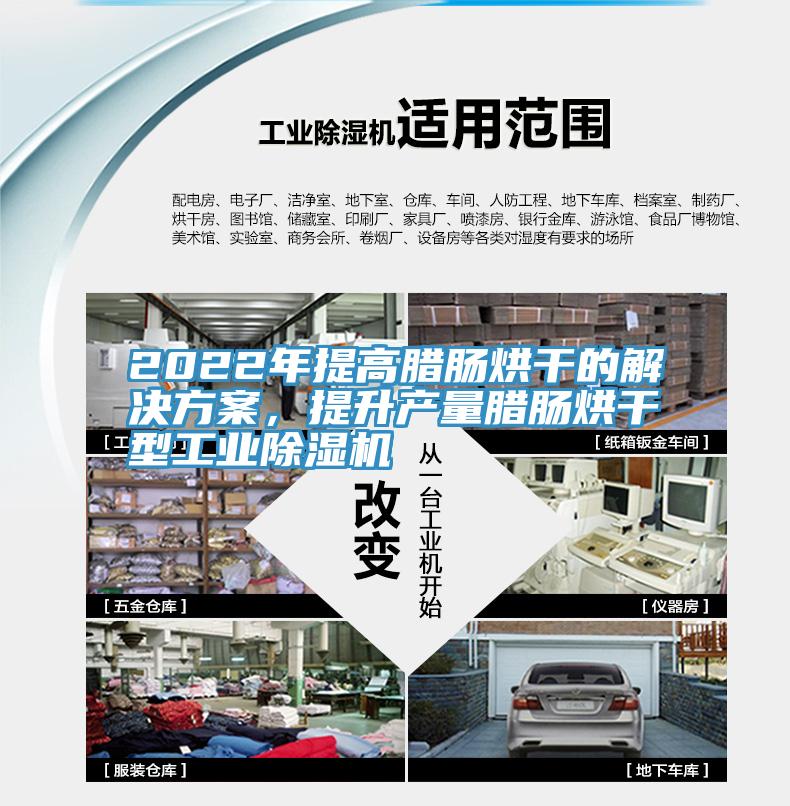 2022年提高臘腸烘干的解決方案，提升產(chǎn)量臘腸烘干型工業(yè)除濕機(jī)
