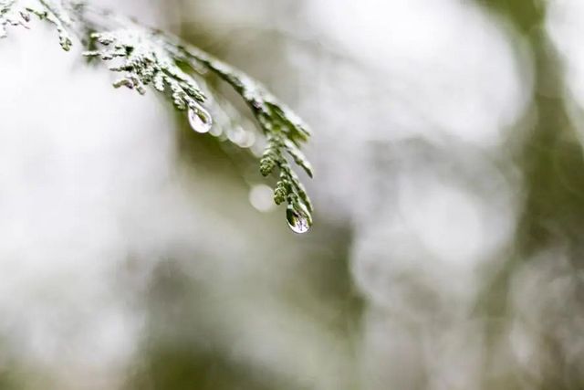 空氣濕度大帶來的危害有哪些，你知道嗎？