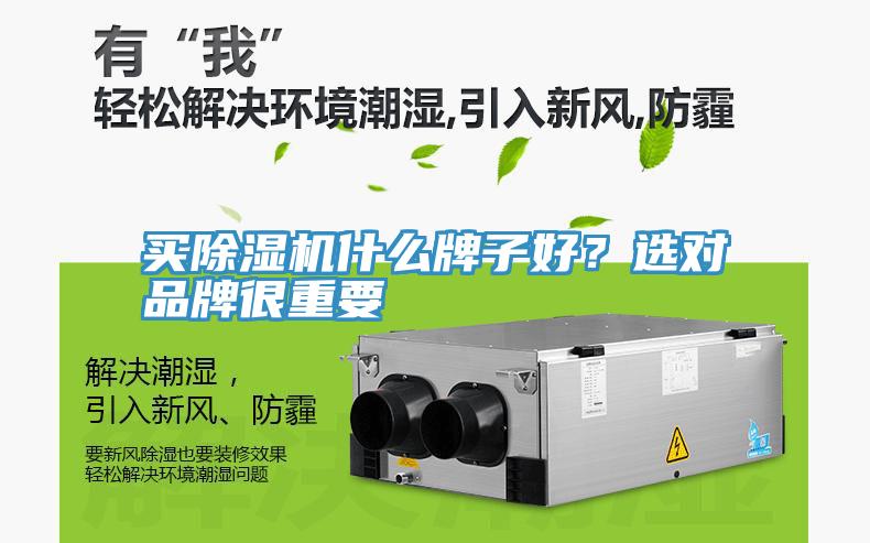 買除濕機什么牌子好？選對品牌很重要
