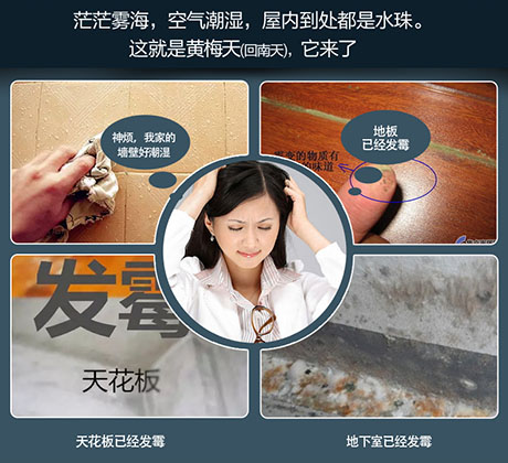 家庭別墅的地下室、衛(wèi)生間、儲(chǔ)物室等該如何除濕？
