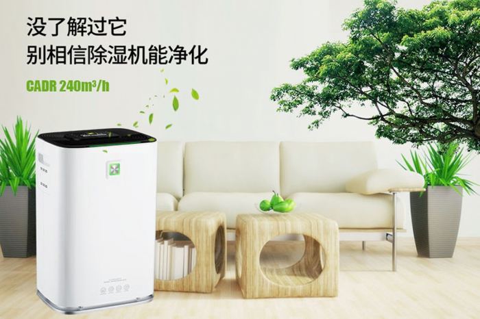 一到回南天狗狗就感冒+皮膚病，怎么辦？