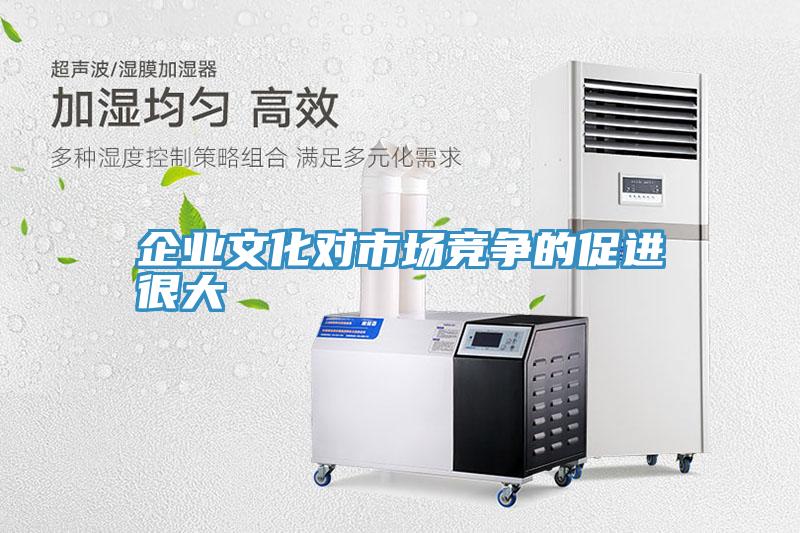企業(yè)文化對市場競爭的促進(jìn)很大