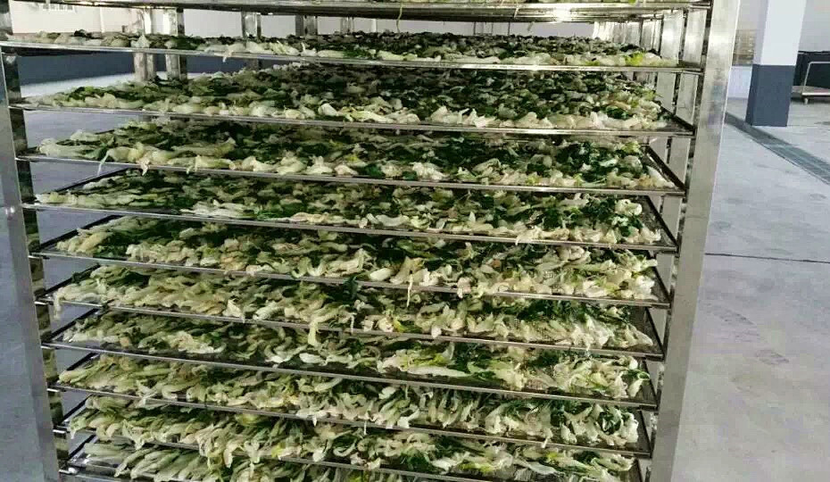 菜干需求一直都很大，蔬菜烘干機很有市場