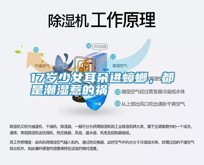 17歲少女耳朵進(jìn)蟑螂，都是潮濕惹的禍