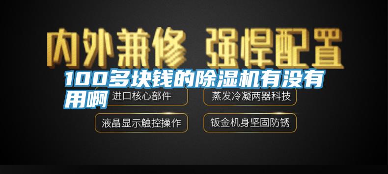 100多塊錢的除濕機(jī)有沒(méi)有用啊
