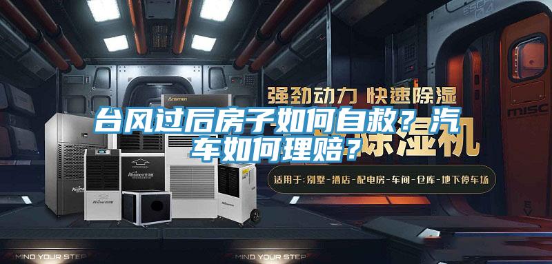 臺(tái)風(fēng)過后房子如何自救？汽車如何理賠？