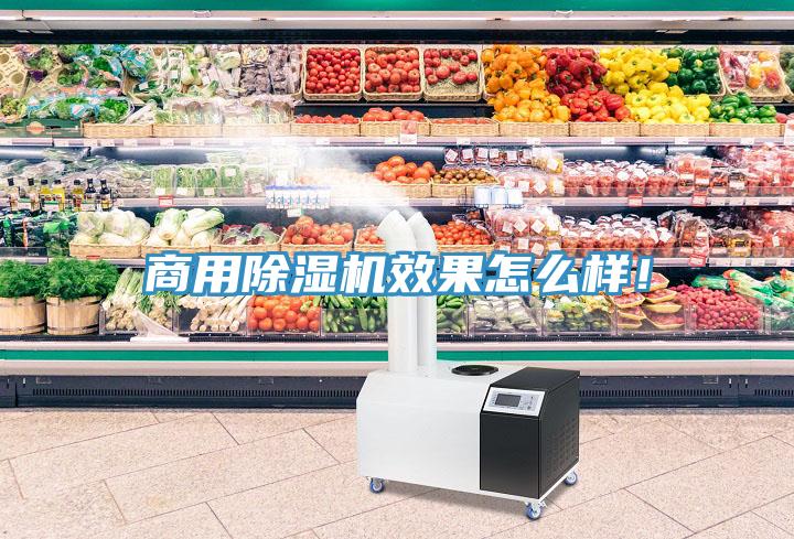 商用除濕機效果怎么樣！
