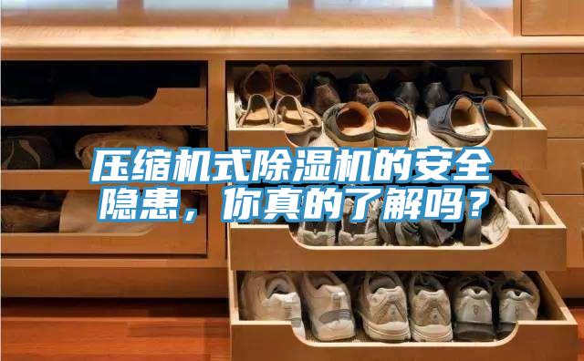 壓縮機(jī)式除濕機(jī)的安全隱患，你真的了解嗎？