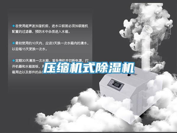 壓縮機式除濕機