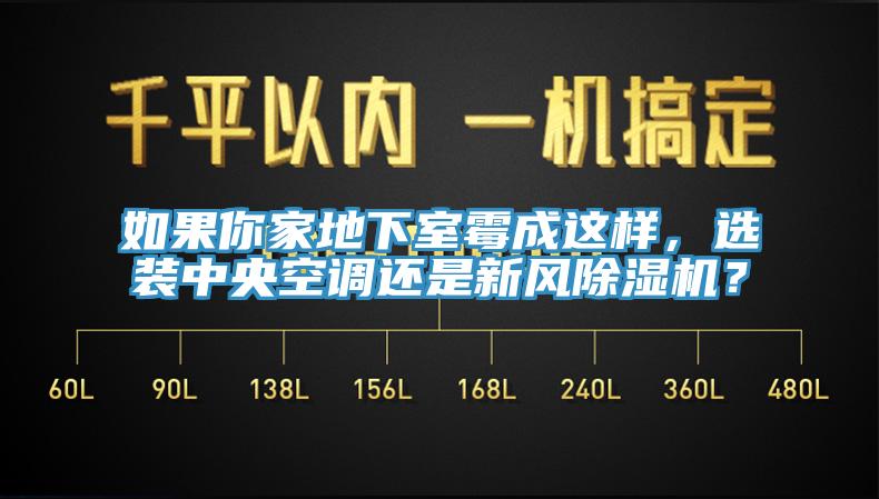 如果你家地下室霉成這樣，選裝中央空調(diào)還是新風(fēng)除濕機(jī)？