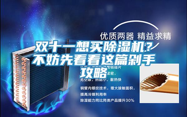 雙十一想買除濕機(jī)？不妨先看看這篇剁手攻略