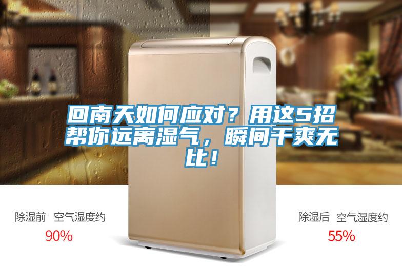 回南天如何應(yīng)對？用這5招幫你遠(yuǎn)離濕氣，瞬間干爽無比！