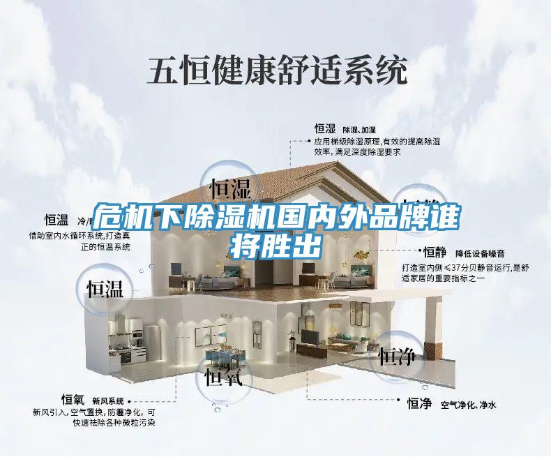 危機下除濕機國內(nèi)外品牌誰將勝出