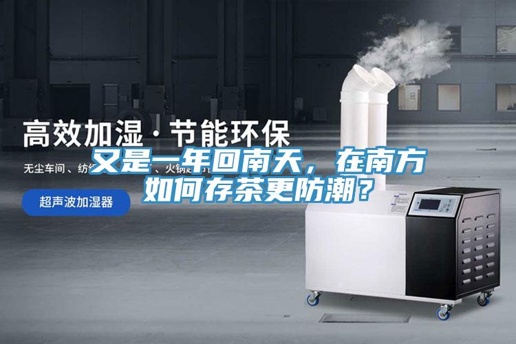 又是一年回南天，在南方如何存茶更防潮？