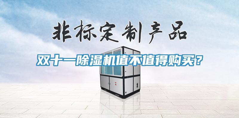 雙十一除濕機(jī)值不值得購買？