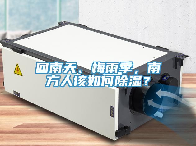 回南天、梅雨季，南方人該如何除濕？