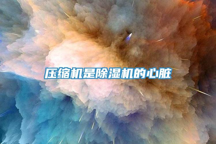 壓縮機(jī)是除濕機(jī)的心臟
