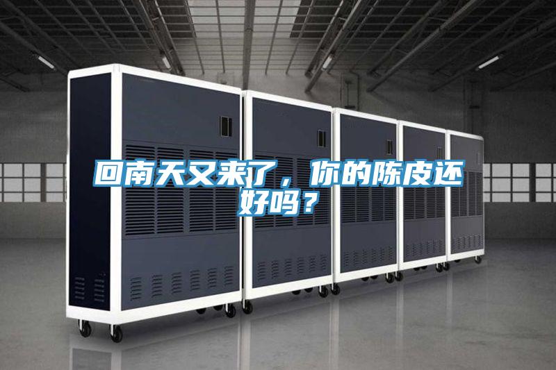 回南天又來了，你的陳皮還好嗎？