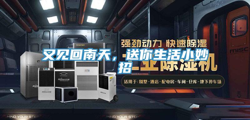 又見回南天，送你生活小妙招