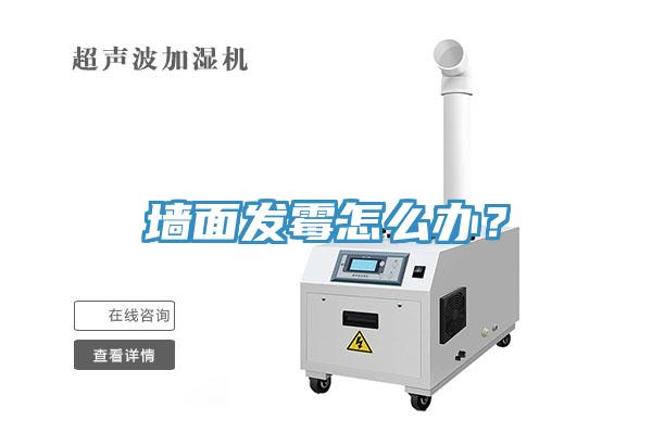 墻面發(fā)霉怎么辦？