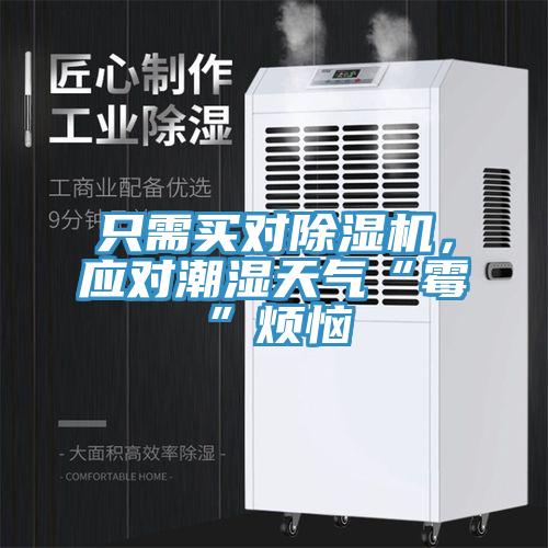 只需買對(duì)除濕機(jī)，應(yīng)對(duì)潮濕天氣“霉”煩惱