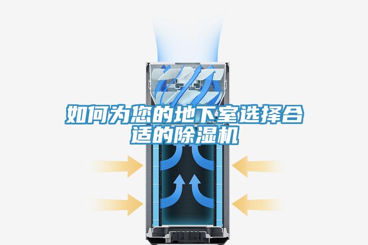 如何為您的地下室選擇合適的除濕機(jī)