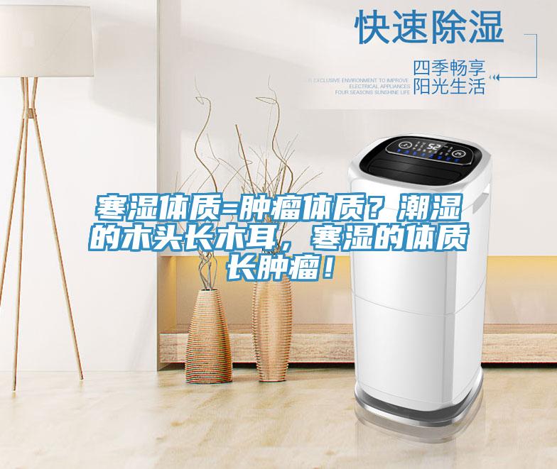 寒濕體質(zhì)=腫瘤體質(zhì)？潮濕的木頭長木耳，寒濕的體質(zhì)長腫瘤！