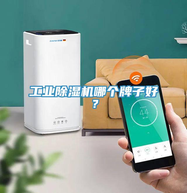 工業(yè)除濕機哪個牌子好？