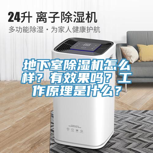 地下室除濕機怎么樣？有效果嗎？工作原理是什么？