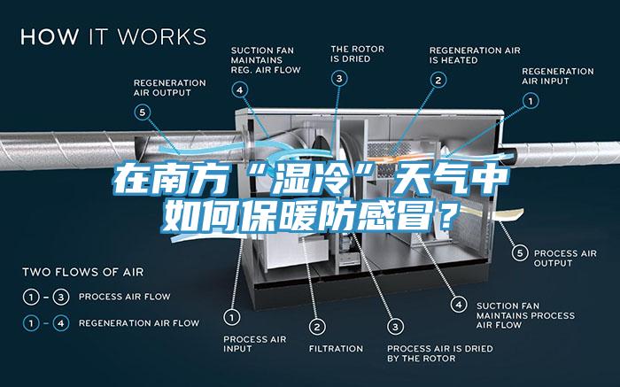 在南方“濕冷”天氣中如何保暖防感冒？