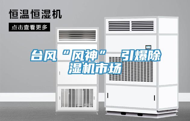 臺(tái)風(fēng)“風(fēng)神” 引爆除濕機(jī)市場(chǎng)