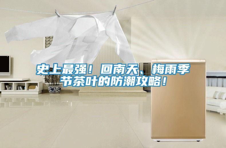史上最強(qiáng)！回南天、梅雨季節(jié)茶葉的防潮攻略！