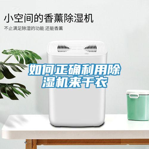 如何正確利用除濕機(jī)來(lái)干衣