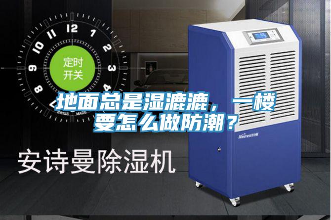 地面總是濕漉漉，一樓要怎么做防潮？
