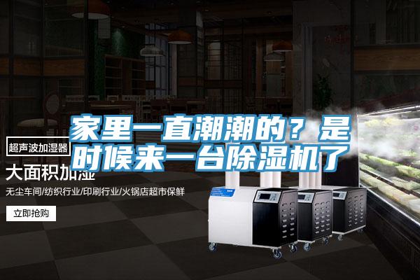 家里一直潮潮的？是時候來一臺除濕機了
