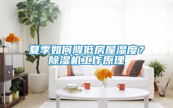 夏季如何降低房屋濕度？除濕機(jī)工作原理