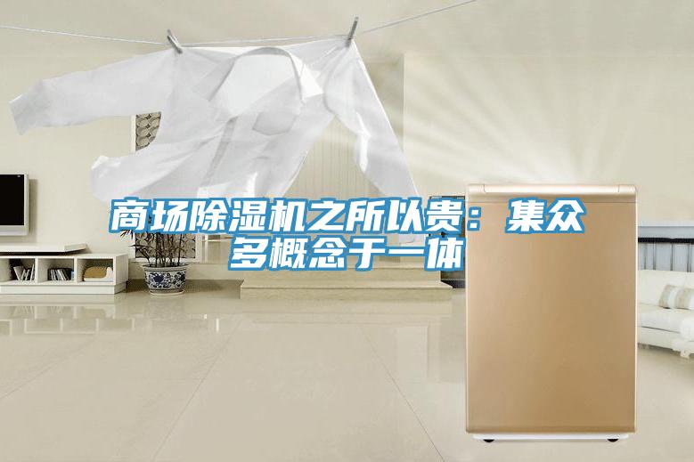 商場除濕機之所以貴：集眾多概念于一體