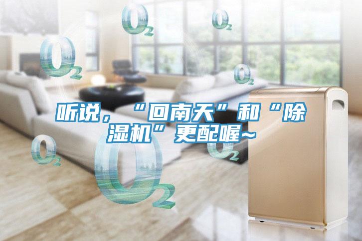 聽(tīng)說(shuō)，“回南天”和“除濕機(jī)”更配喔~