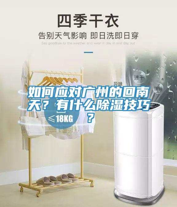如何應(yīng)對廣州的回南天？有什么除濕技巧？