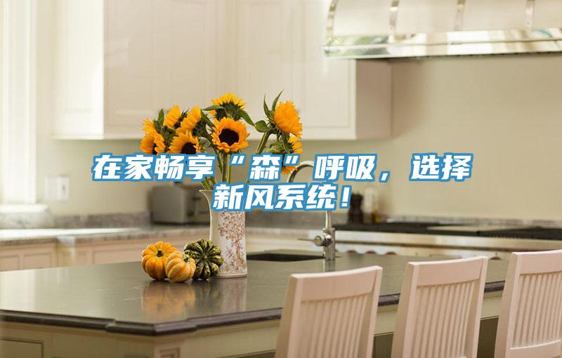 在家暢享“森”呼吸，選擇新風系統(tǒng)！