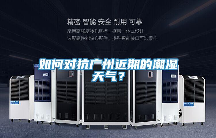 如何對(duì)抗廣州近期的潮濕天氣？