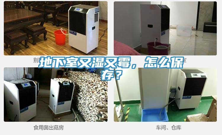 地下室又濕又霉，怎么保存？