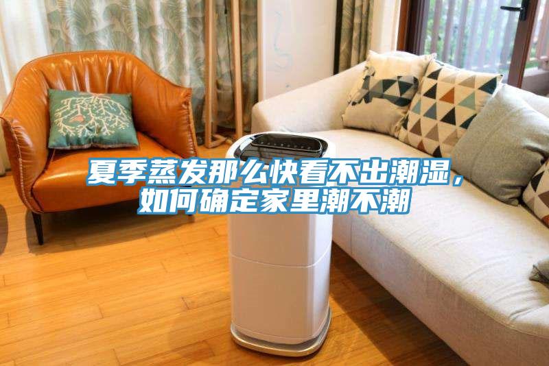 夏季蒸發(fā)那么快看不出潮濕，如何確定家里潮不潮
