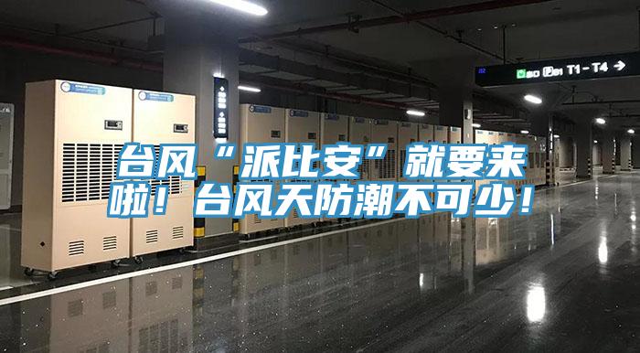 臺(tái)風(fēng)“派比安”就要來(lái)啦！臺(tái)風(fēng)天防潮不可少！